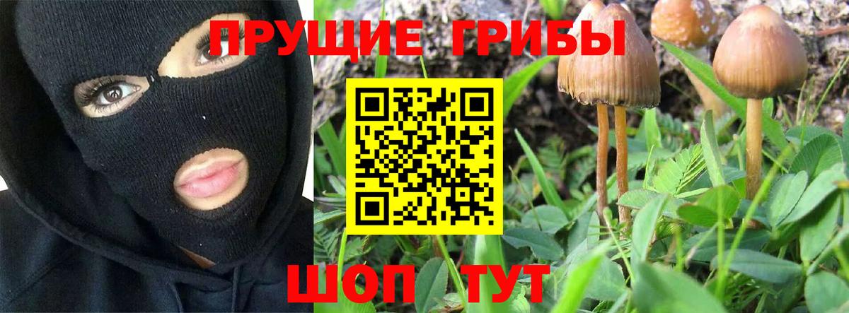 Галлюциногенные грибы мицелий  Вход с VPN  Строитель 